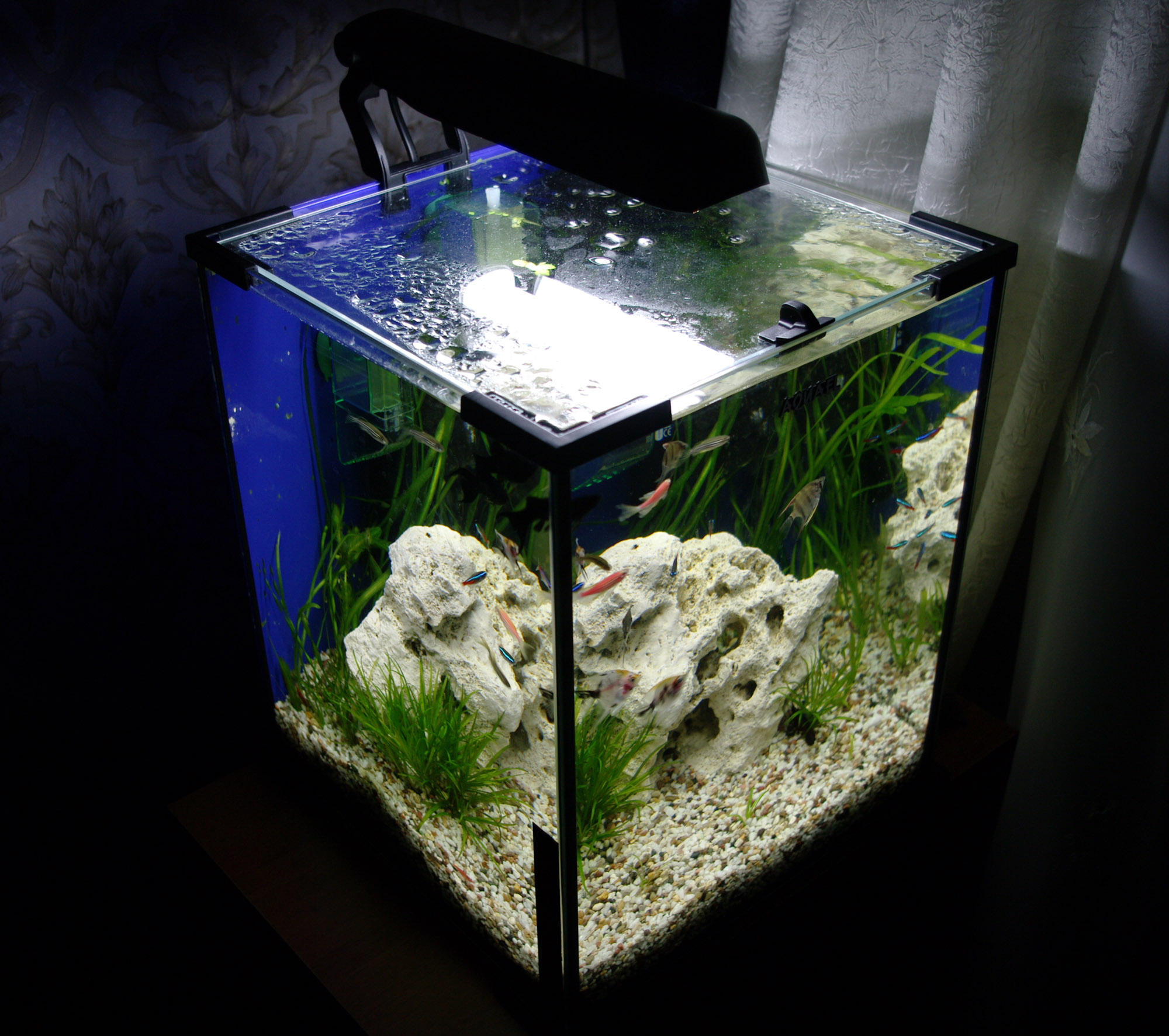 аквариум куб оформление